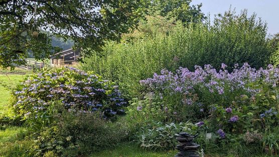 Bild von lisa.k.3 Bild von lisa.k.3