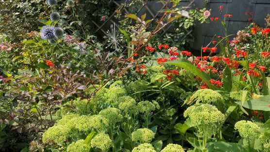 Bild von lisa.k.3 Bild von lisa.k.3