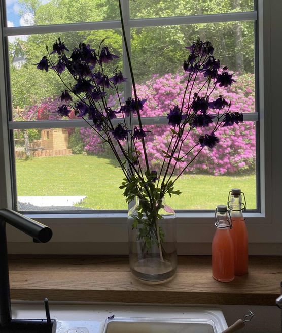 Bild von Naddi13 Bild von Naddi13