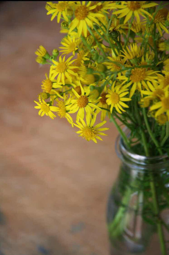 Bild von undone8.2 Bild von undone8.2