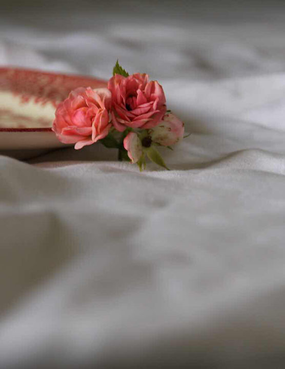 Bild von undone8.2 Bild von undone8.2