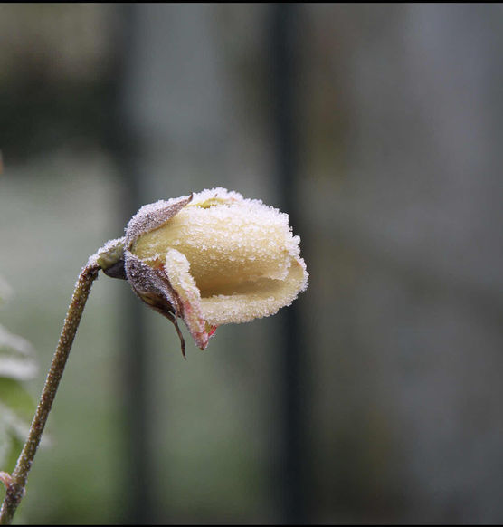 Bild von undone8.2 Bild von undone8.2