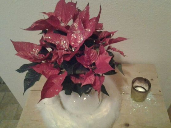 ohne geht nicht ohne geht nicht