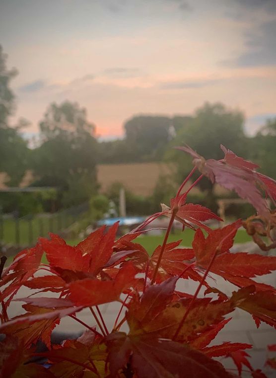 Bild von Happywife Bild von Happywife