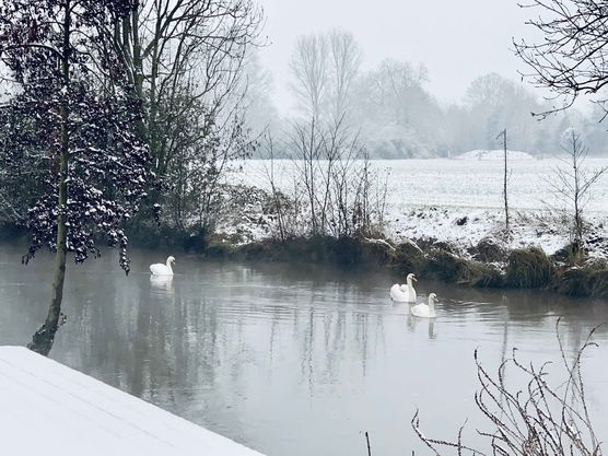 Bild von Happywife Bild von Happywife