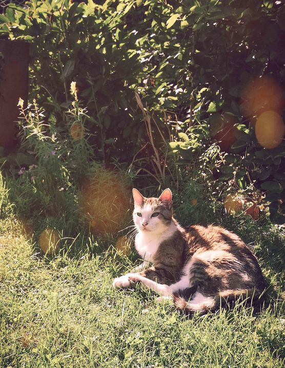 Bild von Jenna Rockz Bild von Jenna Rockz