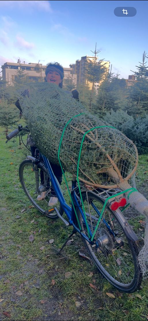 Bild von lebe kunst Bild von lebe kunst