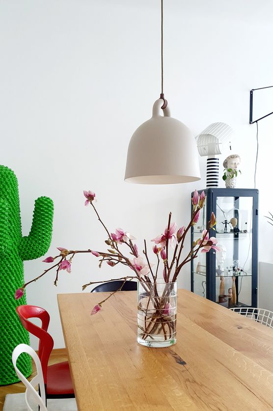 Magnolien, Kaktus Magnolien, Kaktus