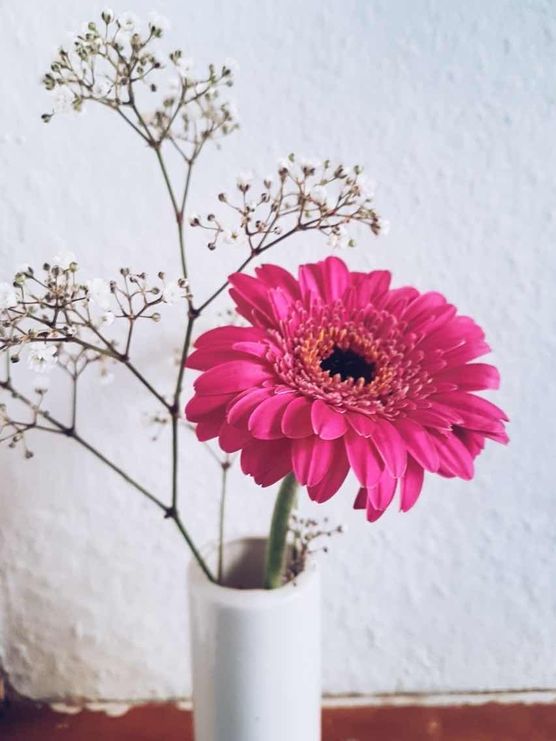 Bild von melin Bild von melin