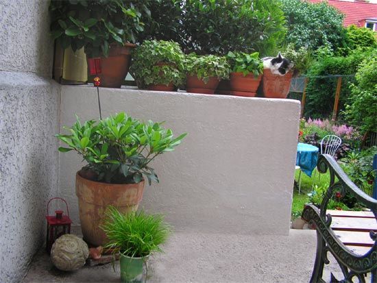 Lenas alter Lieblingsplatz Lenas alter Lieblingsplatz