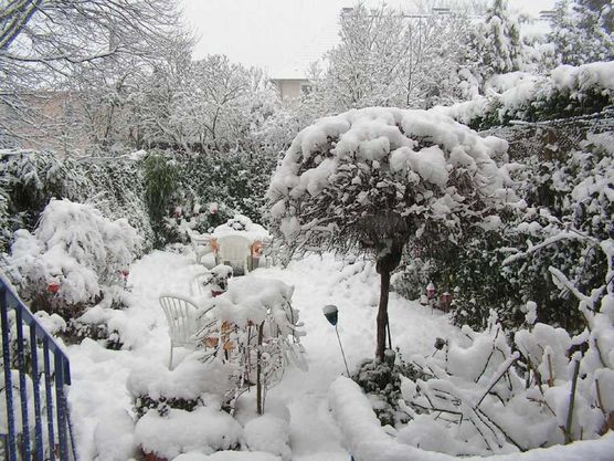 WINTER 2011 WINTER 2011