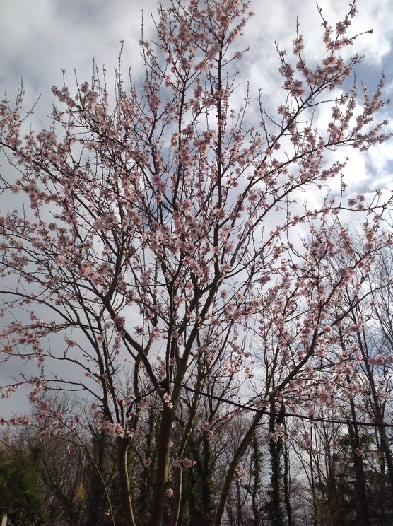 Bild von sternenmeer Bild von sternenmeer