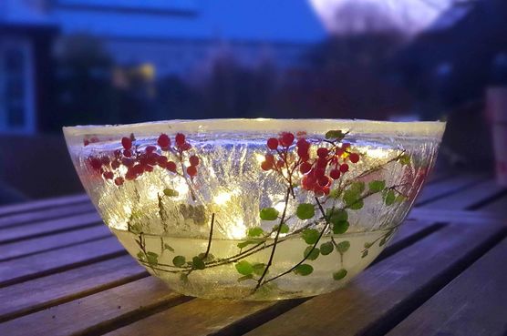 Bild von Petra1959 Bild von Petra1959