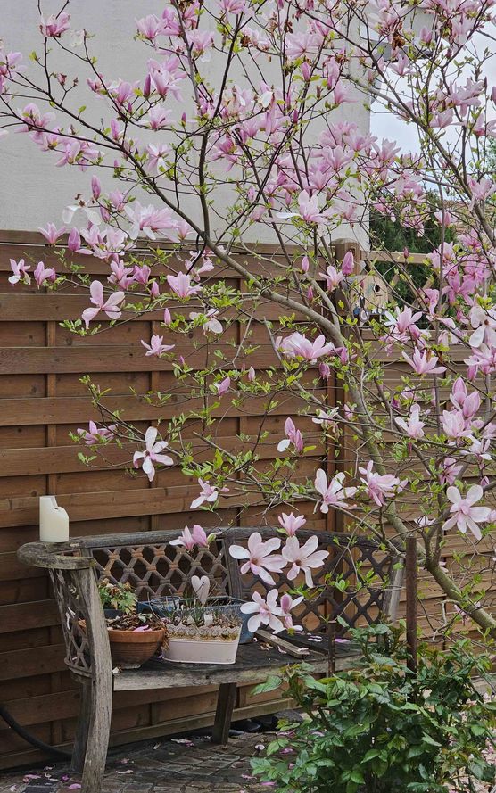 Bild von Petra1959 Bild von Petra1959