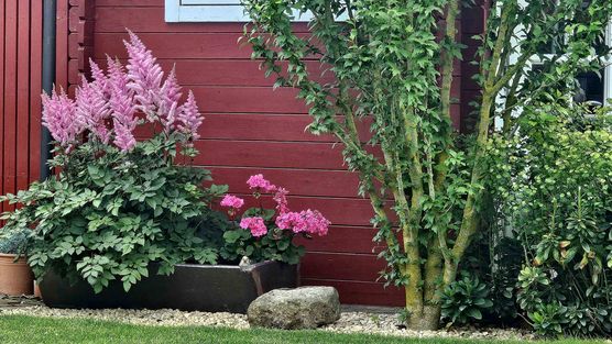 Bild von Petra1959 Bild von Petra1959