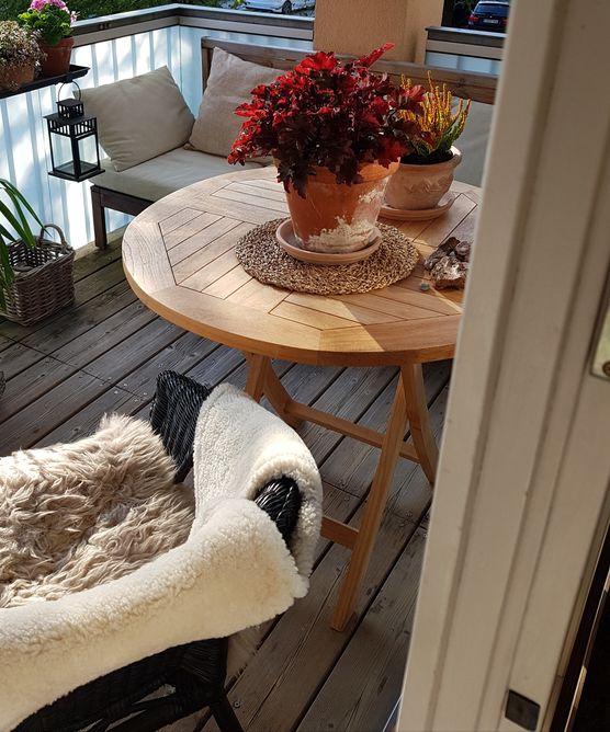 Die Winterharten ziehen ein Die Winterharten ziehen ein