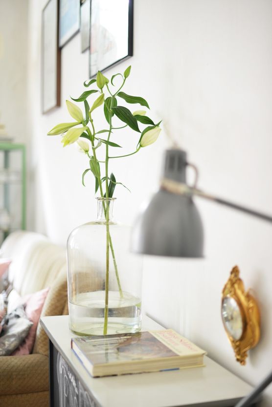 Lieblinsblumen: Lilien Lieblinsblumen: Lilien