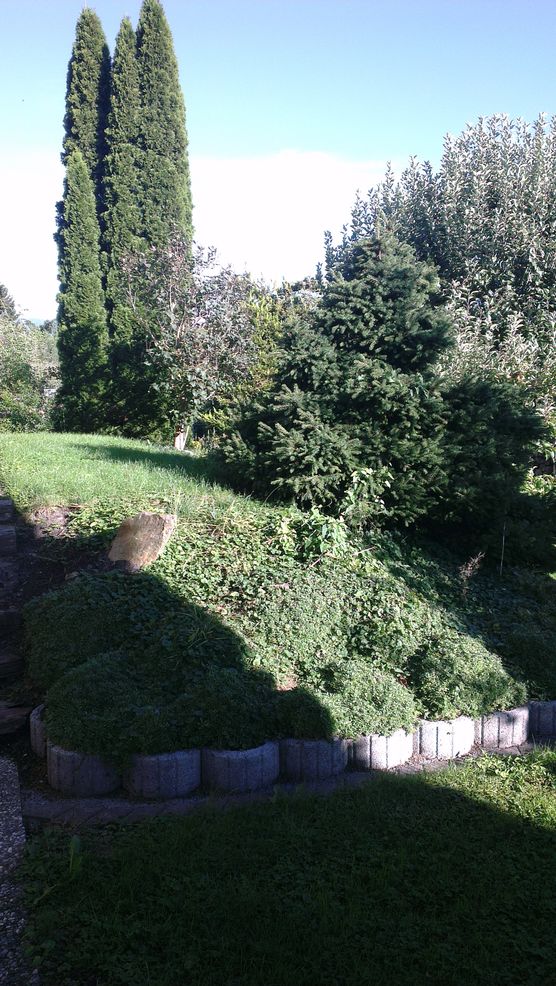 Wo sind die Gärtnerinnen unter euch? Wo sind die Gärtnerinnen unter euch?