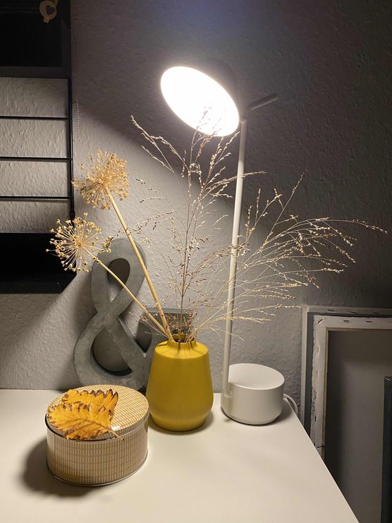 Bild von judith_ly Bild von judith_ly