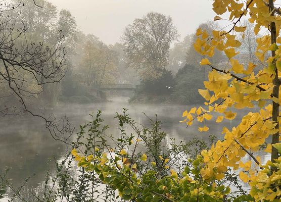 Bild von judith_ly Bild von judith_ly