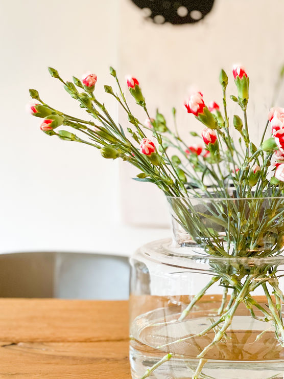 Ein fröhlichen Start in Ein fröhlichen Start in