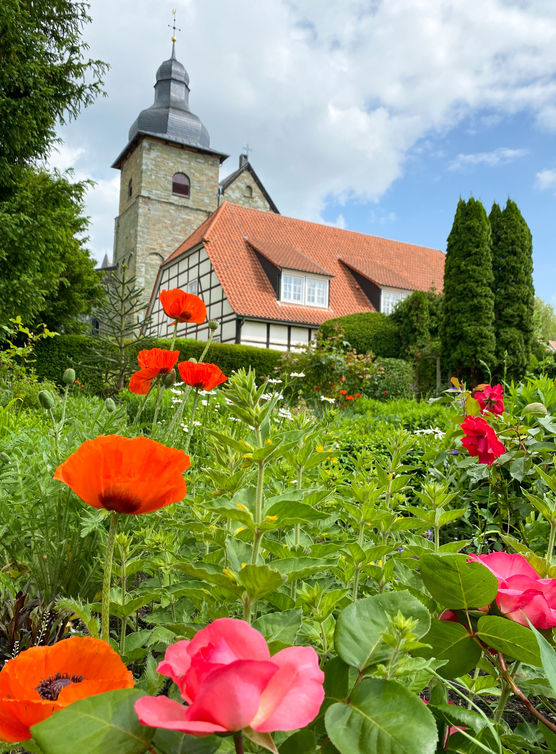 Aus dem Blumenbeet... Aus dem Blumenbeet...