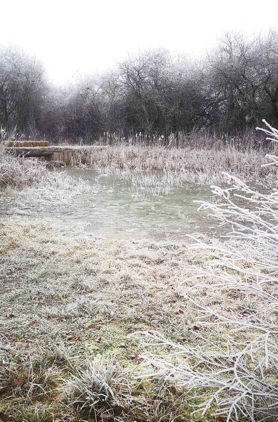 Bild von Lupilen_e Bild von Lupilen_e