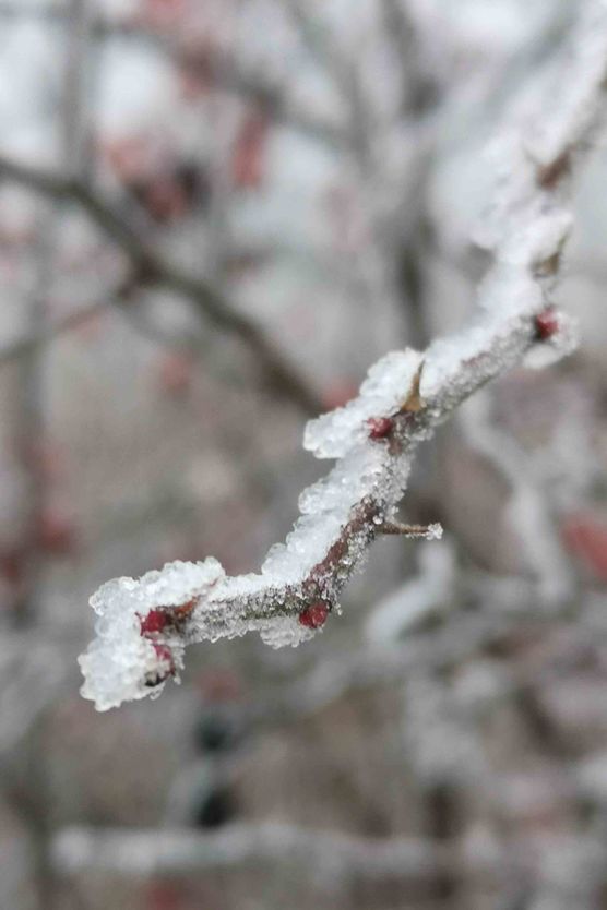 Bild von Lupilen_e Bild von Lupilen_e