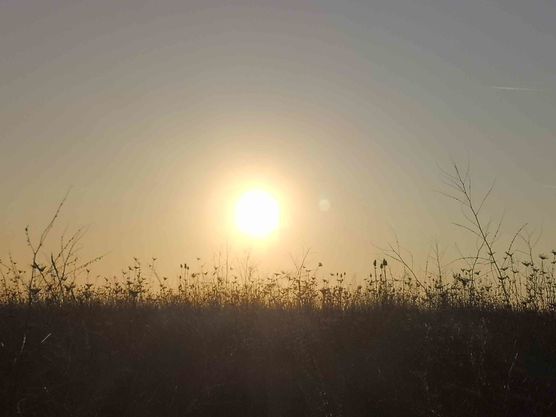 Bild von Lupilen_e Bild von Lupilen_e