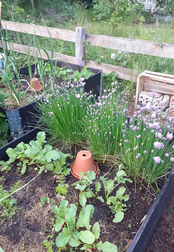 Bild von FriedNela Bild von FriedNela