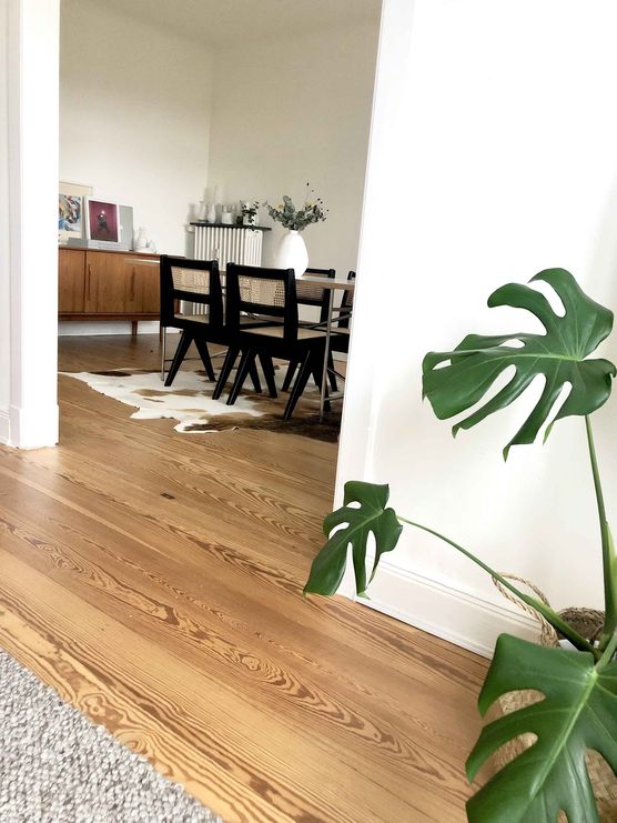 Bild von apartmentsixtysix Bild von apartmentsixtysix