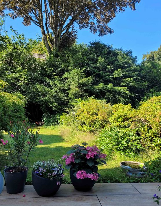 Bild von Baliqueen Bild von Baliqueen