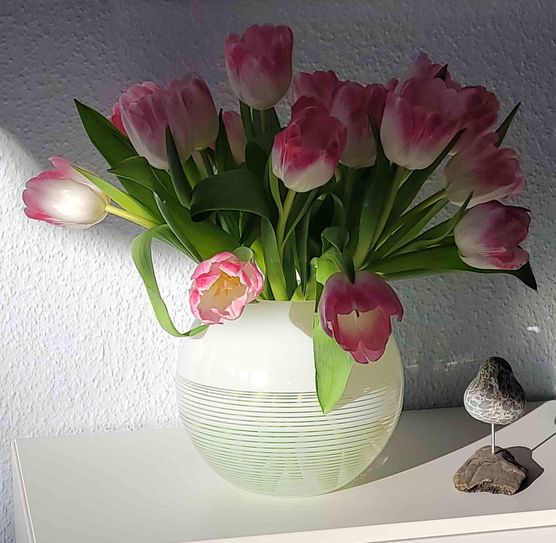 Bild von Baliqueen Bild von Baliqueen