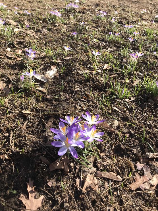 Bild von Katharina Wa Bild von Katharina Wa