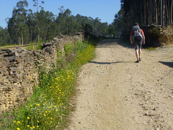 Pilgerreise... Pilgerreise...