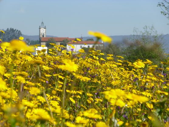 Jetzt in Portugal... Jetzt in Portugal...