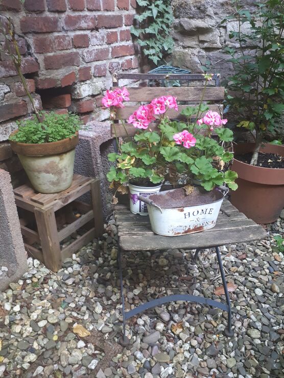 Der Sommer grüßt nochmal Der Sommer grüßt nochmal