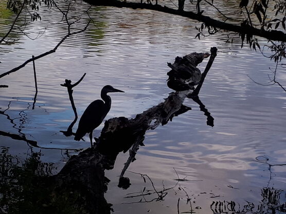 Glück gehabt beim Herbstausflug..... Glück gehabt beim Herbstausflug.....