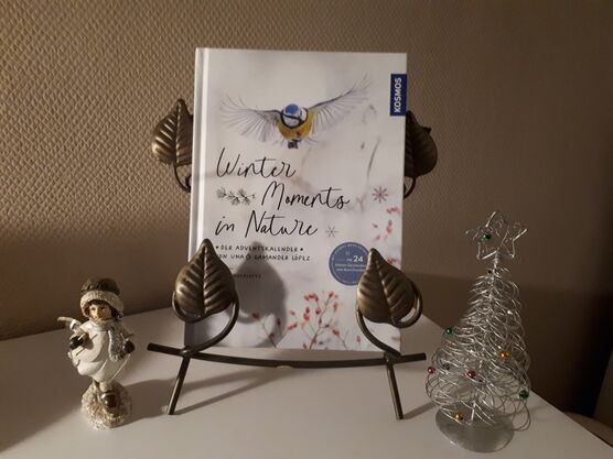 Dieses Jahr einmal ein Dieses Jahr einmal ein