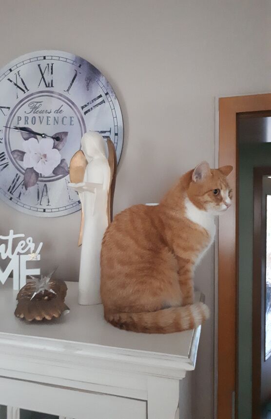 ....da hat sich tatsächlich ....da hat sich tatsächlich