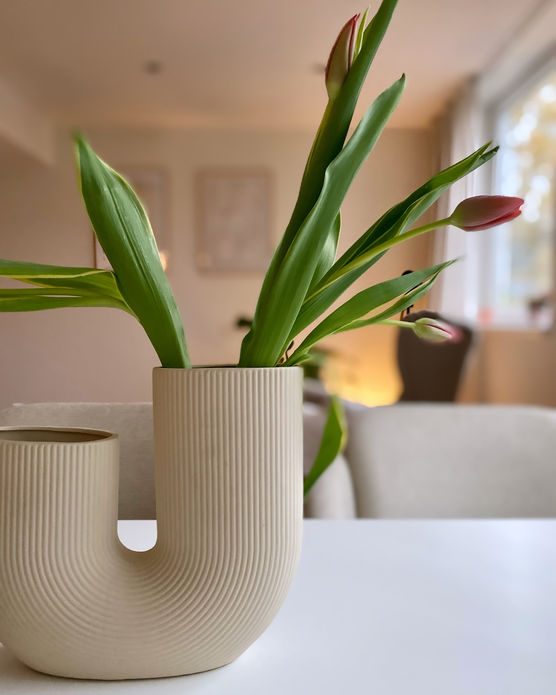 Ich bin bereit für Ich bin bereit für