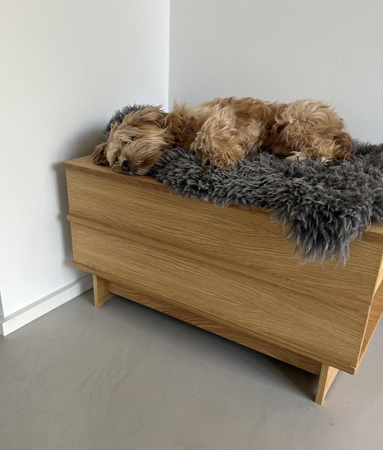 Bild von herzensort Bild von herzensort