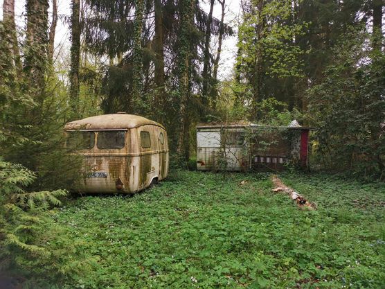 Bild von wuseltante Bild von wuseltante