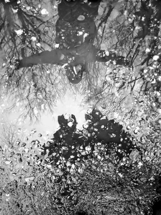 Bild von wuseltante Bild von wuseltante