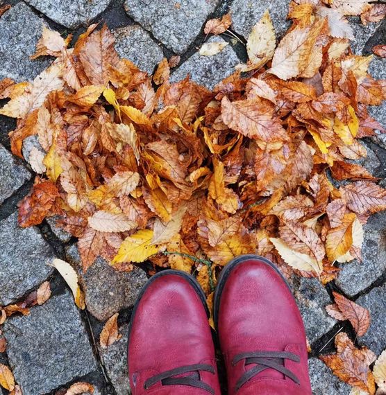 Bild von wuseltante Bild von wuseltante