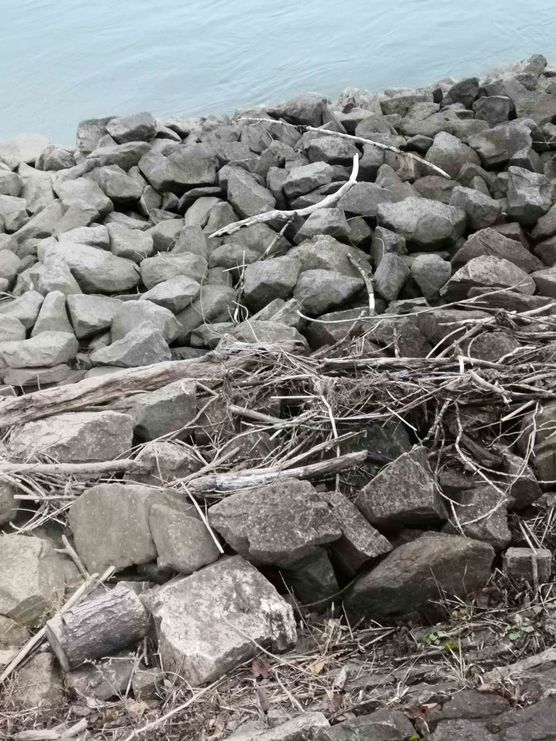 Bild von wuseltante Bild von wuseltante