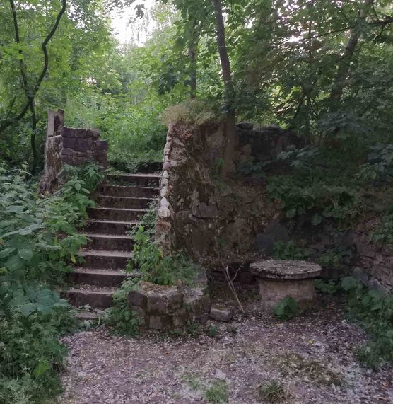 Bild von wuseltante Bild von wuseltante