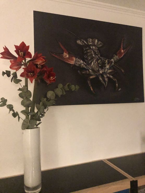 Bild von Dollimaus Bild von Dollimaus