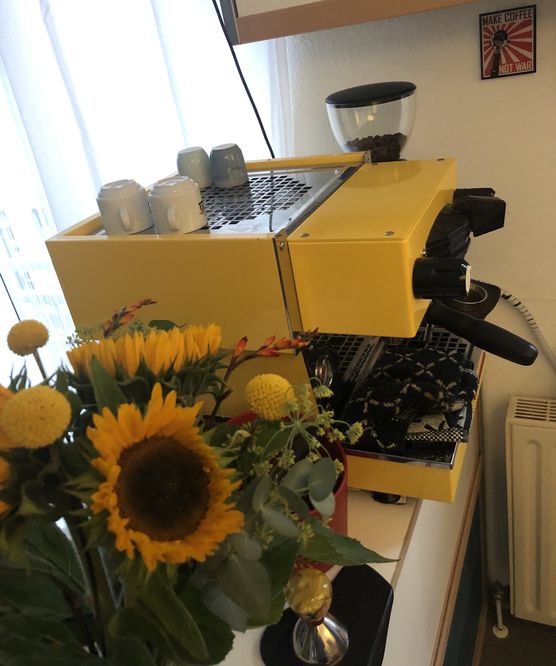 Sonnenblumen 🌻 hübsch vor Sonnenblumen 🌻 hübsch vor