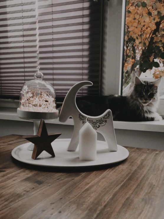 Bild von AngiHi Bild von AngiHi